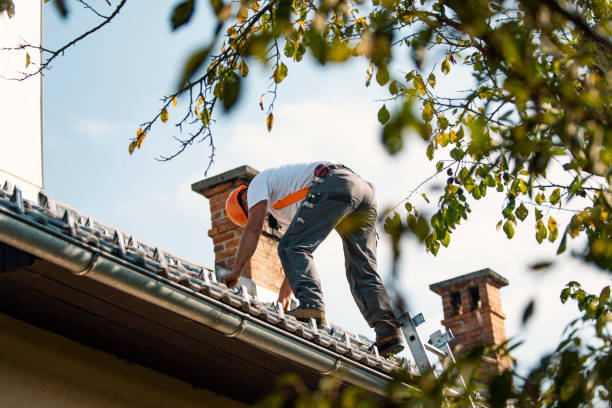 Best Steel Roofing  in Bayside, WI