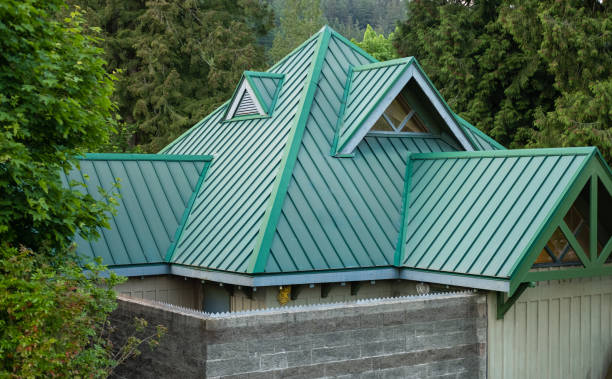 Best Skylight Installation and Repair  in Bayside, WI