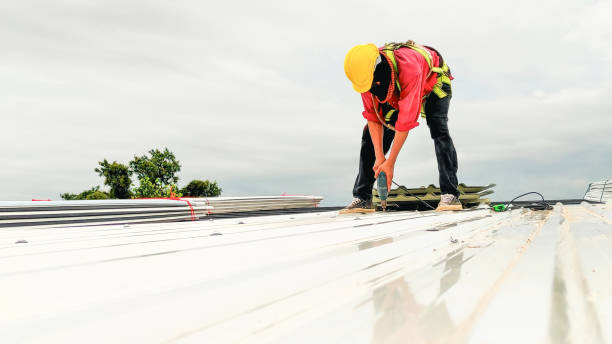 Professional Roofing Service in Bayside, WI